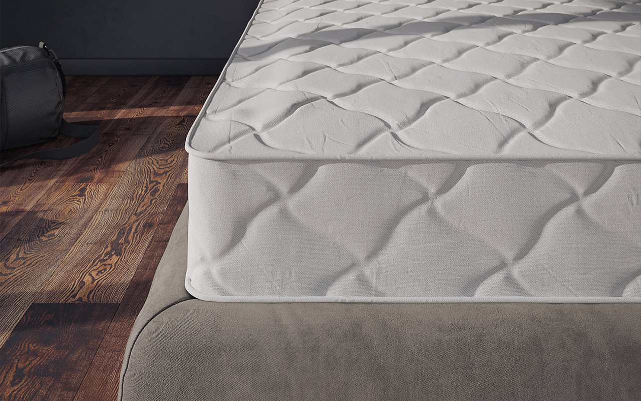 Evita Regular Action фото 5