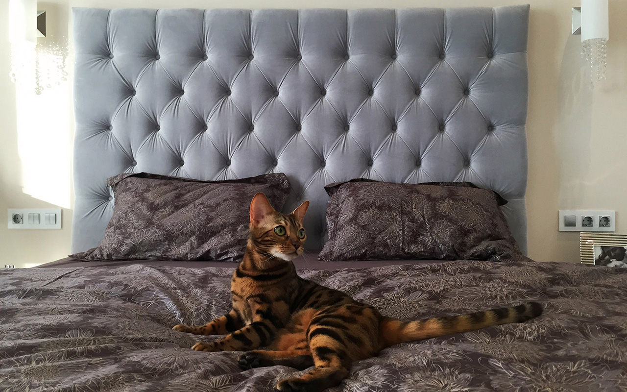 Sonberry Fioravante фото 5