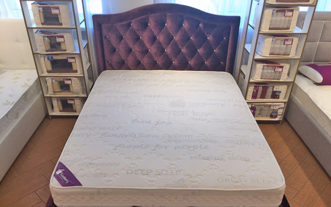 Sonberry Angelo Cherry фото 8