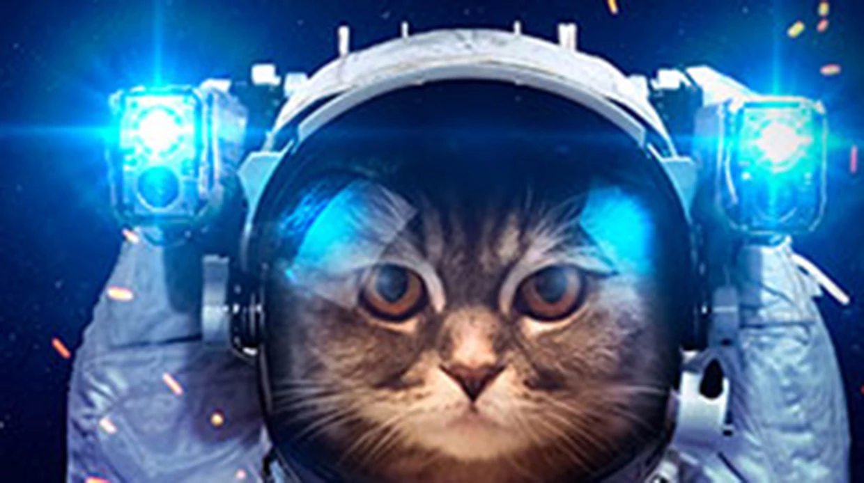 КИБЕРНЕДЕЛЯ В АНАТОМИИ СНА