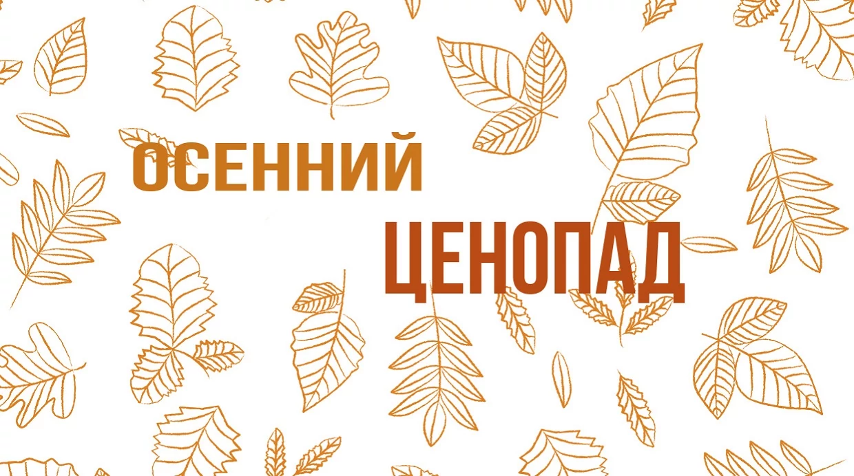 Ценопад: скидка 25% на кровати Орматек